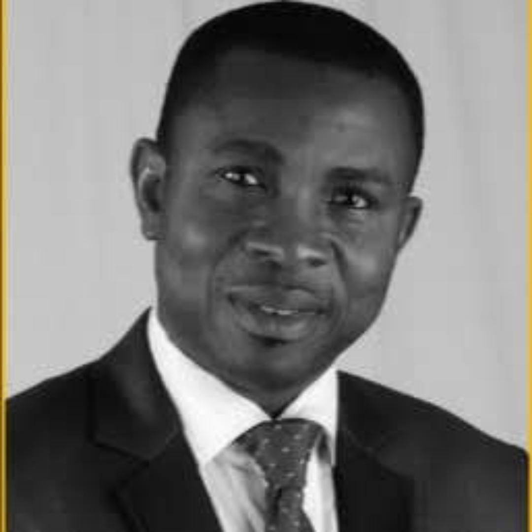 Mr. James Babailo - Financial Director